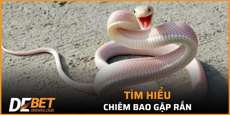 Chiêm bao về loài rắn không phải lúc nào cũng là điềm báo xấu